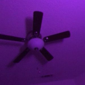 Meet your Posher, Camden